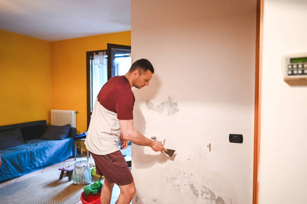Best Toxic Mold Removal  in Lakeland Highlands, FL